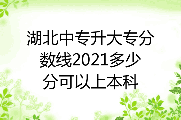 湖北中专升大专分数线2021多少分可以上本科