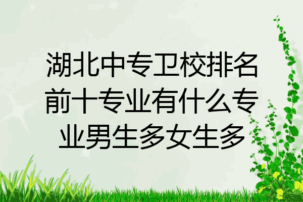 湖北中专卫校排名前十专业有什么专业男生多女生多