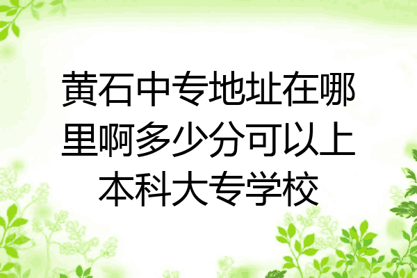 黄石中专地址在哪里啊多少分可以上本科大专学校