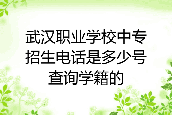 武汉职业学校中专招生电话是多少号查询学籍的
