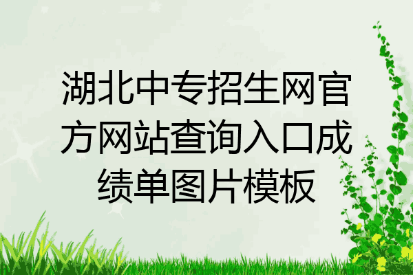 湖北中专招生网官方网站查询入口成绩单图片模板