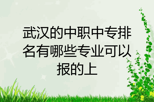 武汉的中职中专排名有哪些专业可以报的上