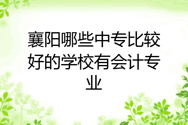 襄阳哪些中专比较好的学校有会计专业