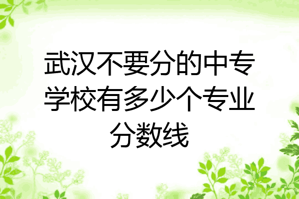 武汉不要分的中专学校有多少个专业分数线