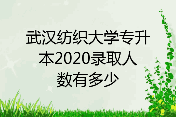 武汉纺织大学专升本2020录取人数有多少