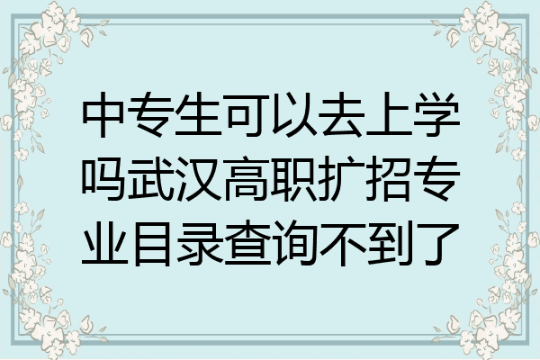 中专生可以去上学吗武汉高职扩招专业目录查询不到了