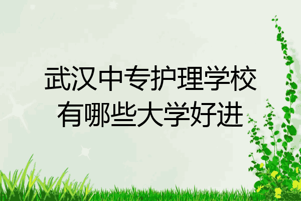 武汉中专护理学校有哪些大学好进