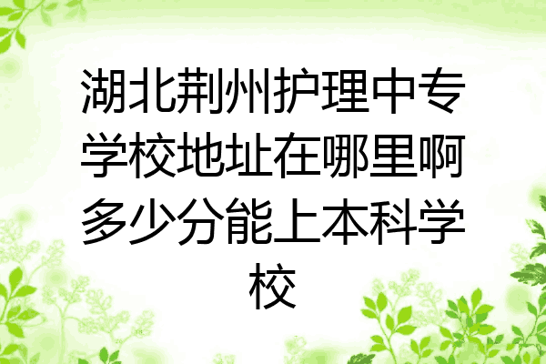 湖北荆州护理中专学校地址在哪里啊多少分能上本科学校