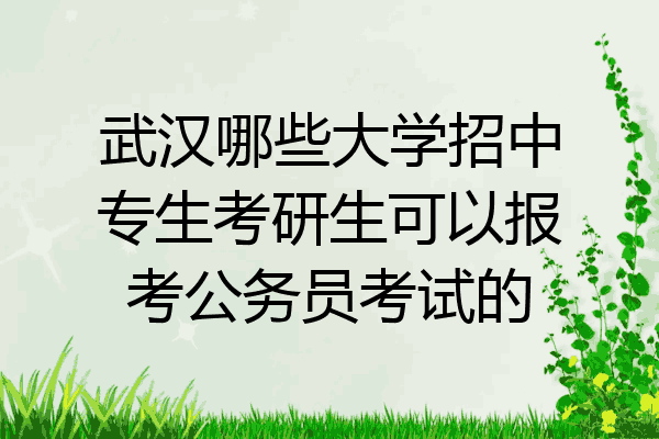 武汉哪些大学招中专生考研生可以报考公务员考试的