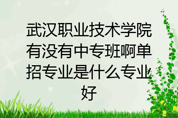 武汉职业技术学院有没有中专班啊单招专业是什么专业好