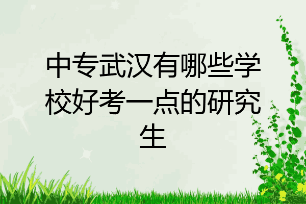 中专武汉有哪些学校好考一点的研究生