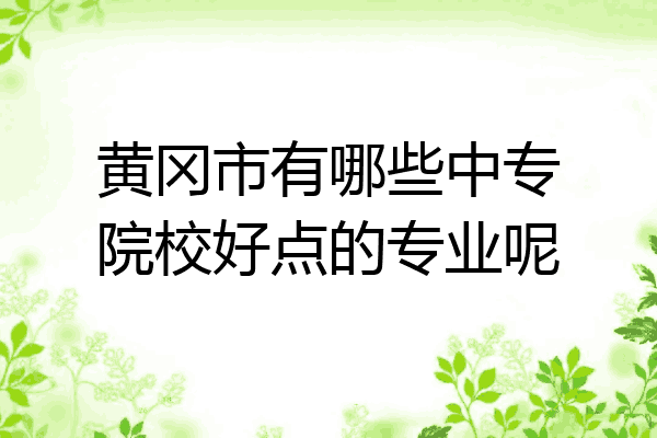 黄冈市有哪些中专院校好点的专业呢