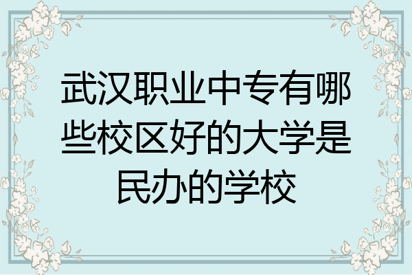 武汉职业中专有哪些校区好的大学是民办的学校