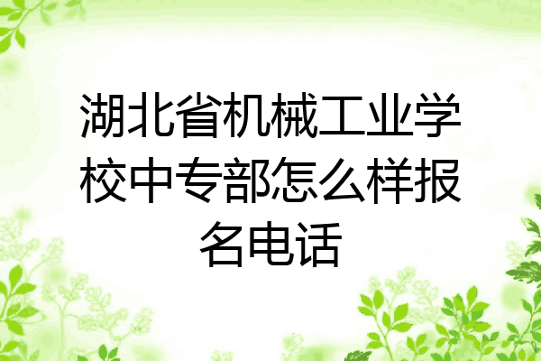 湖北省机械工业学校中专部怎么样报名电话