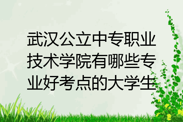 武汉公立中专职业技术学院有哪些专业好考点的大学生