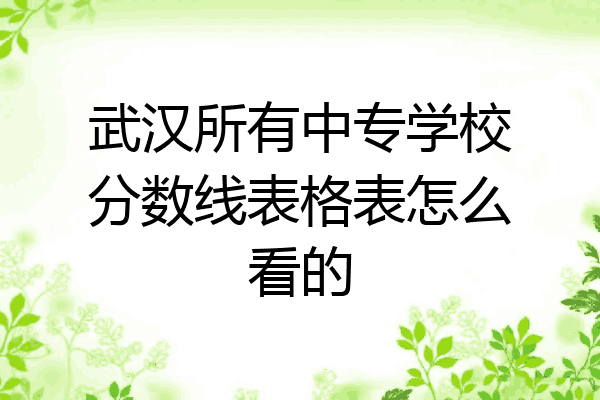 武汉所有中专学校分数线表格表怎么看的