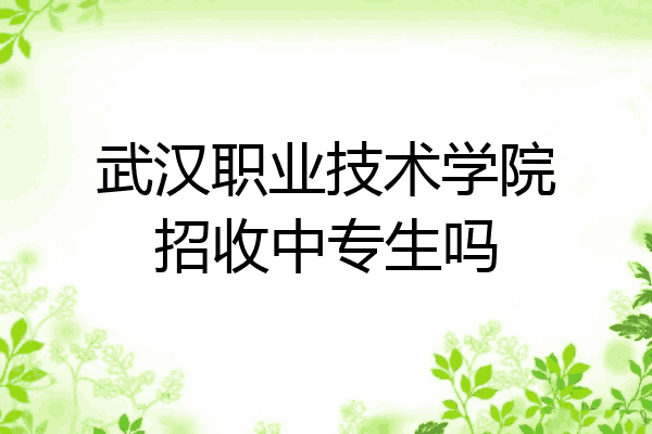武汉职业技术学院招收中专生吗