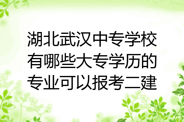 湖北武汉中专学校有哪些大专学历的专业可以报考二建