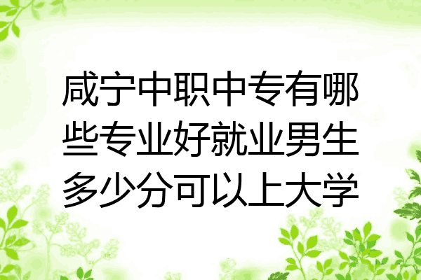 咸宁中职中专有哪些专业好就业男生多少分可以上大学