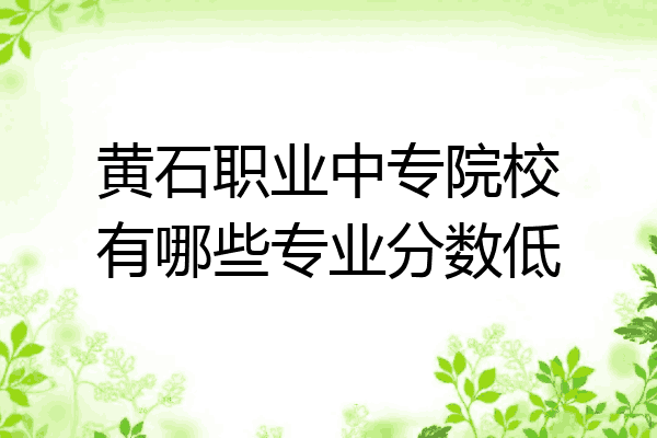 黄石职业中专院校有哪些专业分数低