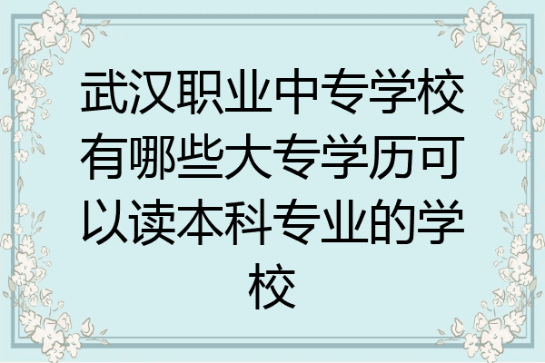 武汉职业中专学校有哪些大专学历可以读本科专业的学校