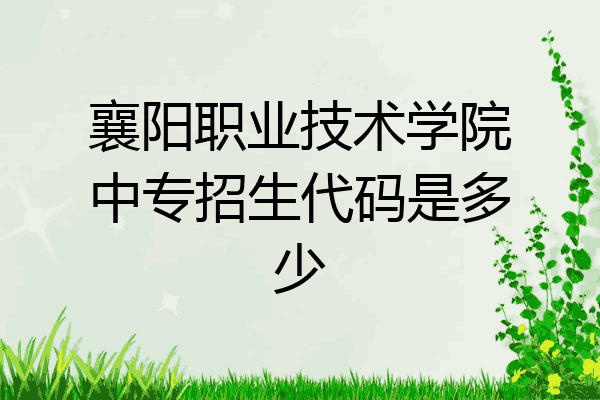 襄阳职业技术学院中专招生代码是多少