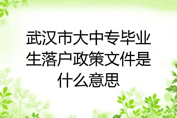 武汉市大中专毕业生落户政策文件是什么意思