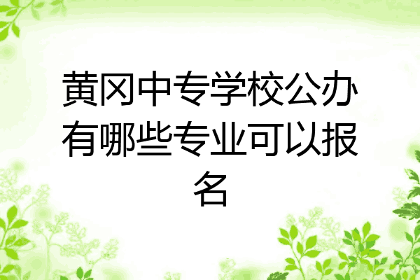 黄冈中专学校公办有哪些专业可以报名