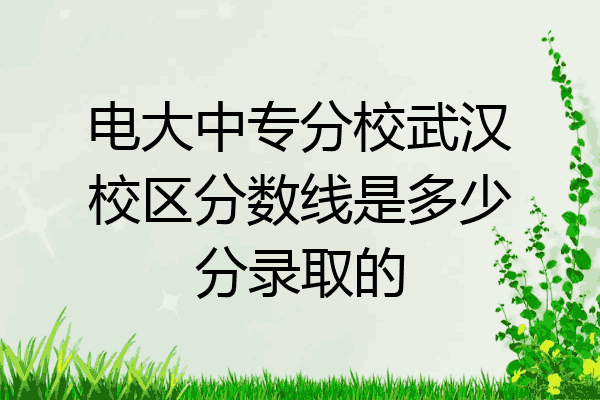 电大中专分校武汉校区分数线是多少分录取的