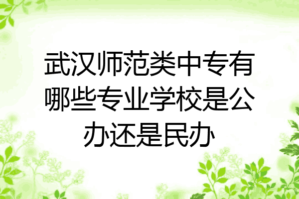 武汉师范类中专有哪些专业学校是公办还是民办
