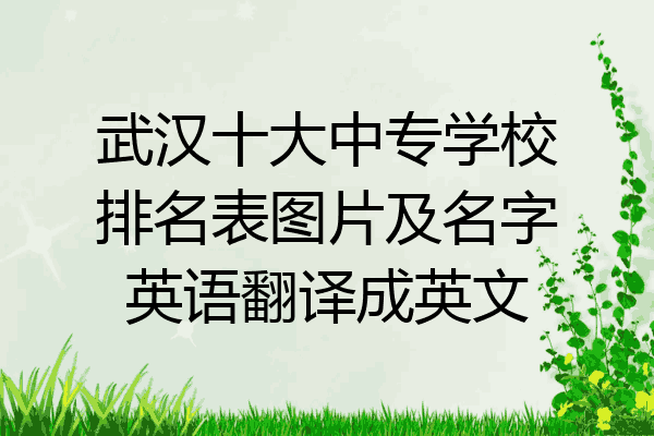 武汉十大中专学校排名表图片及名字英语翻译成英文