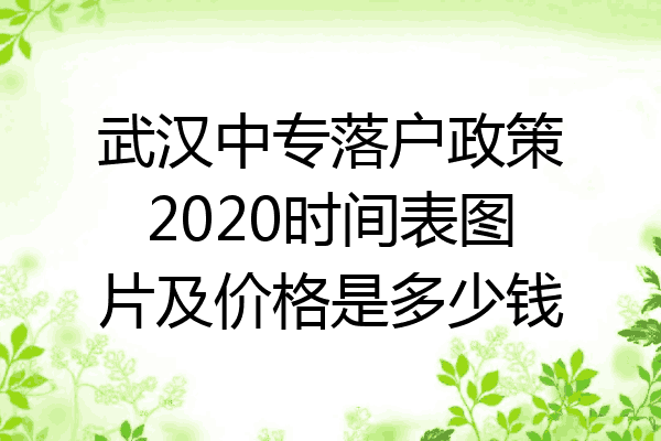 武汉中专落户政策2020时间表图片及价格是多少钱