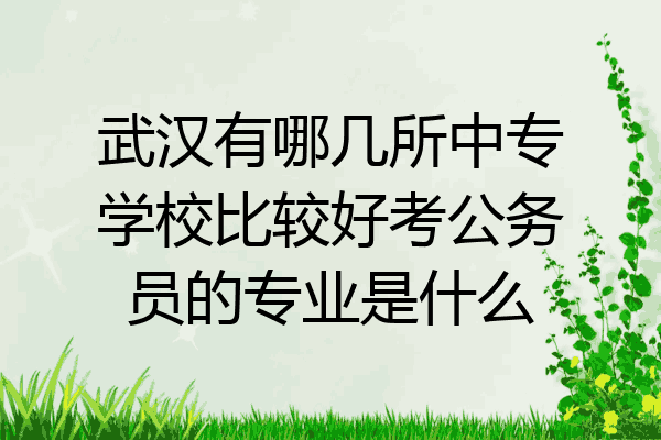 武汉有哪几所中专学校比较好考公务员的专业是什么