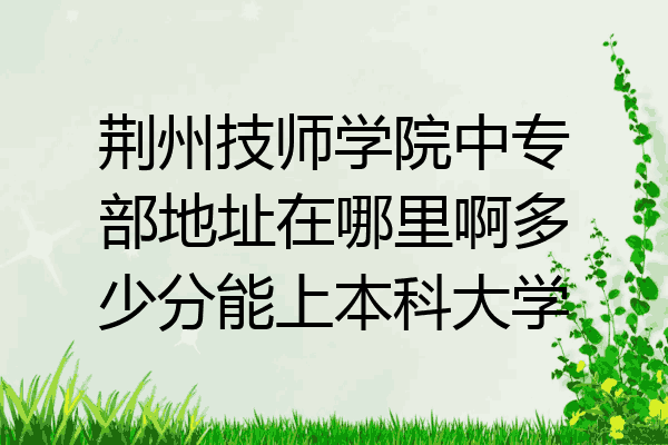 荆州技师学院中专部地址在哪里啊多少分能上本科大学