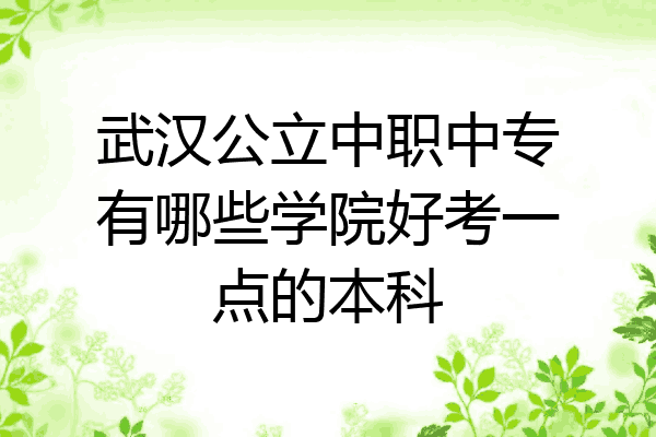 武汉公立中职中专有哪些学院好考一点的本科