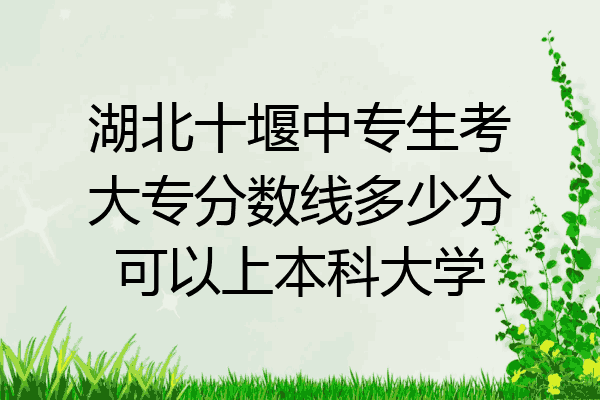 湖北十堰中专生考大专分数线多少分可以上本科大学