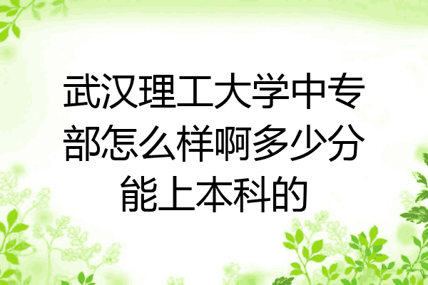 武汉理工大学中专部怎么样啊多少分能上本科的