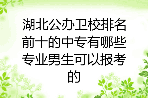 湖北公办卫校排名前十的中专有哪些专业男生可以报考的