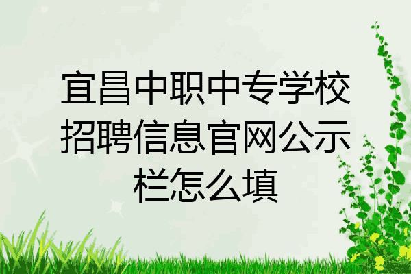 宜昌中职中专学校招聘信息官网公示栏怎么填