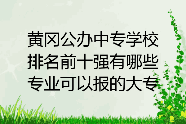 黄冈公办中专学校排名前十强有哪些专业可以报的大专