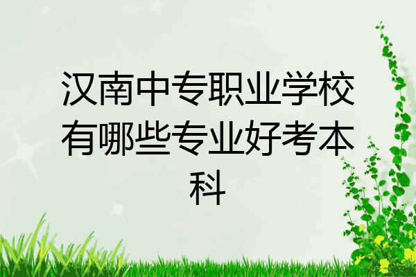 汉南中专职业学校有哪些专业好考本科