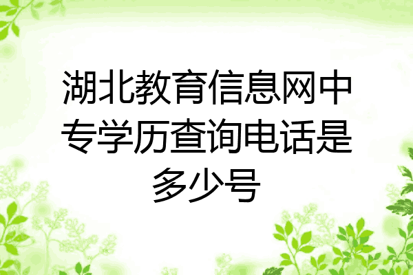 湖北教育信息网中专学历查询电话是多少号