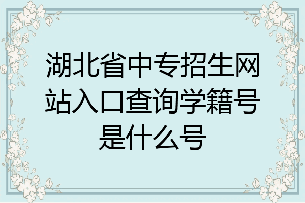 湖北省中专招生网站入口查询学籍号是什么号