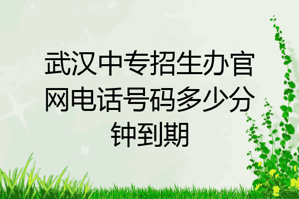 武汉中专招生办官网电话号码多少分钟到期