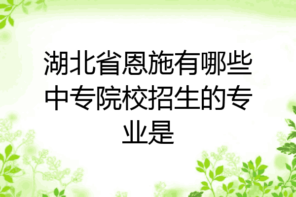 湖北省恩施有哪些中专院校招生的专业是