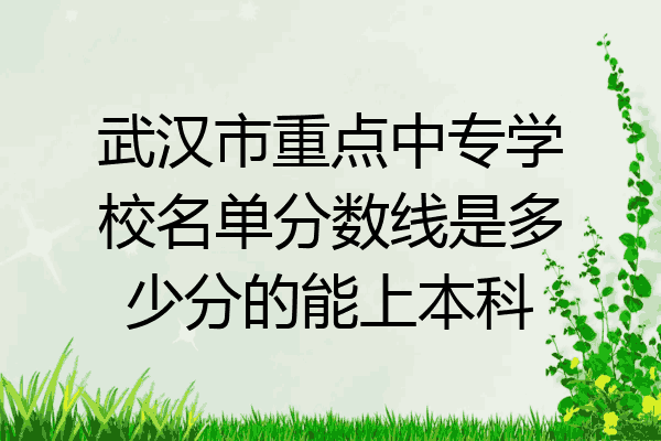武汉市重点中专学校名单分数线是多少分的能上本科
