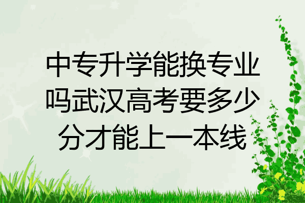 中专升学能换专业吗武汉高考要多少分才能上一本线
