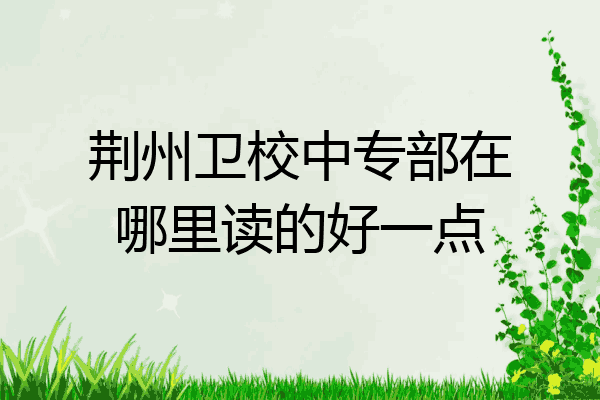 荆州卫校中专部在哪里读的好一点
