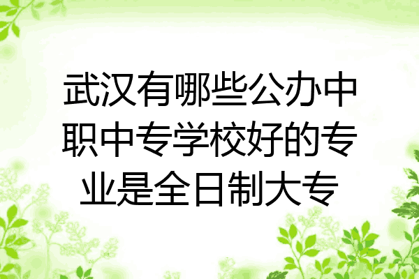 武汉有哪些公办中职中专学校好的专业是全日制大专