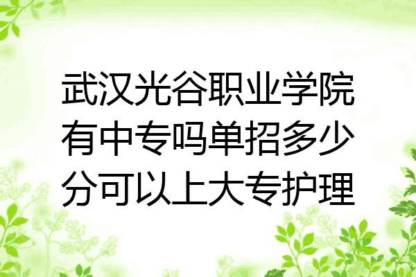 武汉光谷职业学院有中专吗单招多少分可以上大专护理